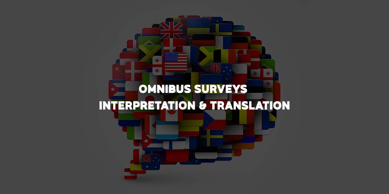 Omnibus Surveys, Interpretation & Translation